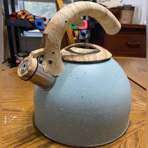 Stove top tea kettle